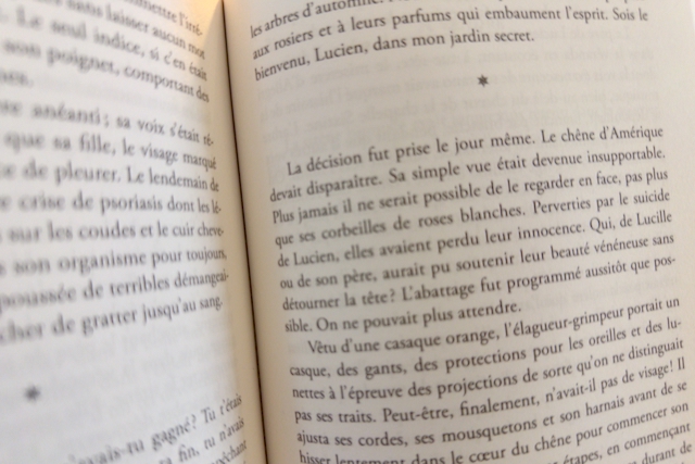 Brûlure indienne, pages 14-15