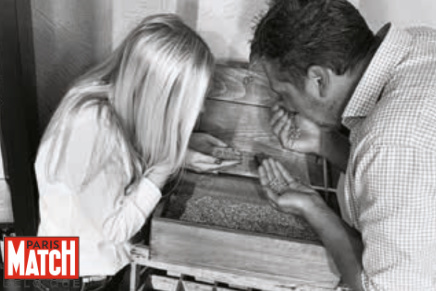 Distillerie Radermacher